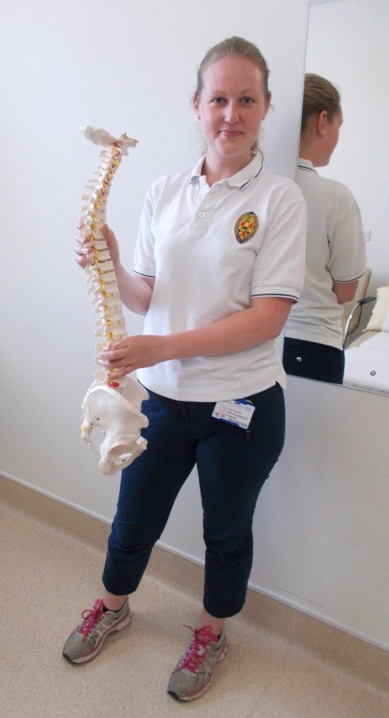 Physio holding model of spine