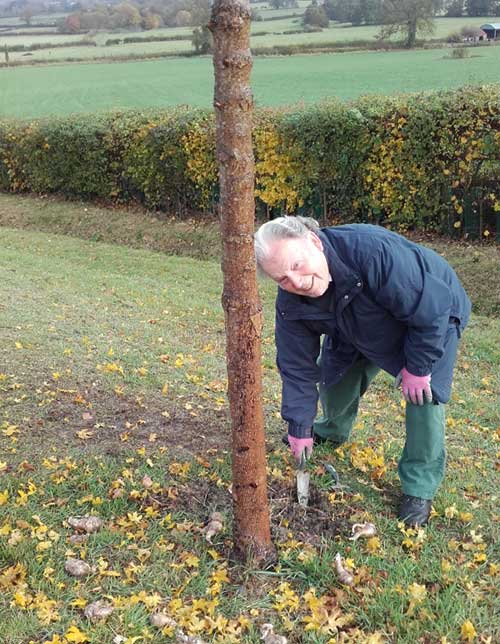 Chris Gough and his pink Marigolds rubber gloves