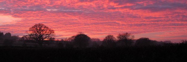 Sunset in South Somerset